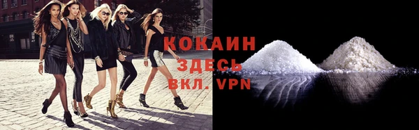 мяу мяу мука Касимов