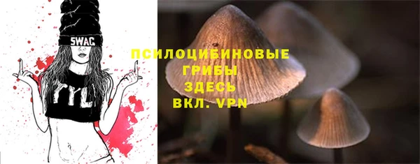 MESCALINE Карпинск