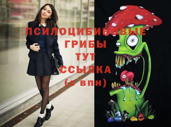 мяу мяу мука Касимов