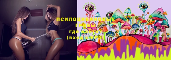 MESCALINE Карпинск