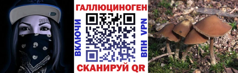 Галлюциногенные грибы GOLDEN TEACHER  Купить  Сасово 